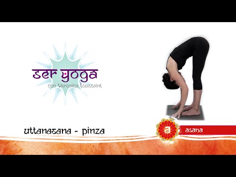Ser Yoga - Asana 40 | Pinza