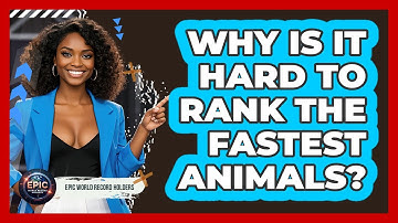 Why Is It Hard To Rank The Fastest Animals? - Epic World Record Holders