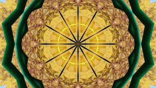 Kaleidoscope Kwiz 206. You have about 30 seconds to guess.