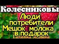 Семья Колесниковых /Колесниковы /Потребители/Мешок молока в Подарок /Обзор новых ВЛОГОВ //