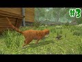 Mouse Simulator - Life of Mouse- Android/iOS - Gameplay Episode 3