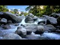 Piano Music, River Sounds, Sleep Music, Relaxation, Nature Ambience 🌊 Floating River Serenity