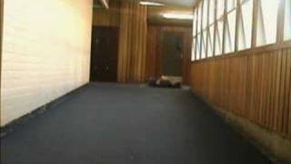 Abobe After Effects, Body Split Into Two, Test