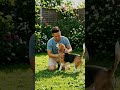 a emotional story of a dog #dog #bome #storyinhindi