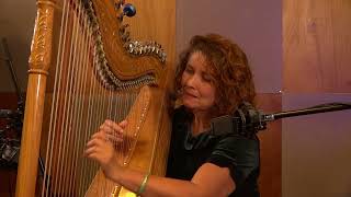 The Spirit of Aloha By The Dangerous Harpist