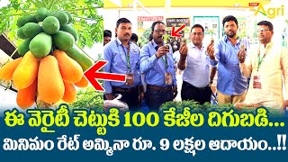 YK-19 Papaya Variety | చెట్టుకి 100 కేజీల దిగుబడి..! రూ.9లక్షల ఆదాయం..! KISAN Agri Show | Tone Agri