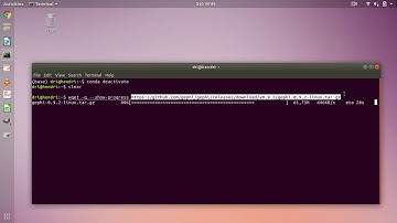 How To Install Gephi on Linux