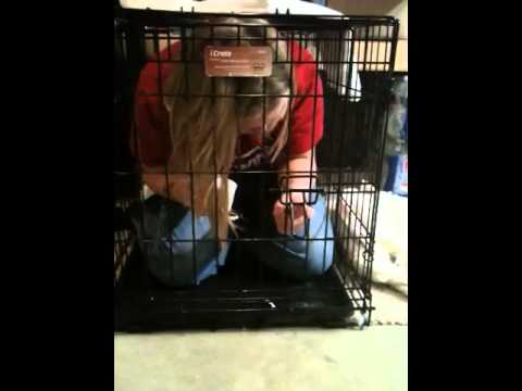 Stuck in a dog cage - YouTube