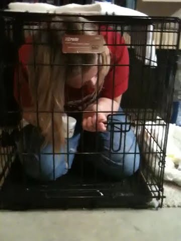 Stuck in a dog cage - YouTube