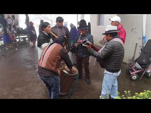 Grupo Iluman Pura