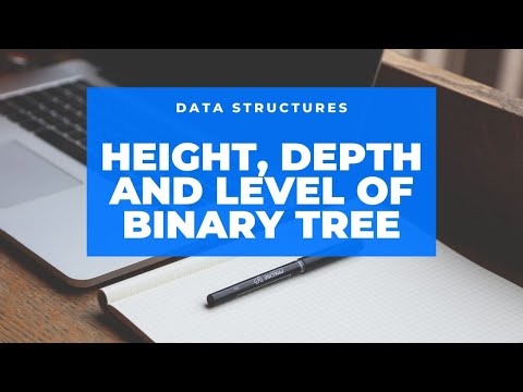 Height, Depth, Level of a Binary Tree