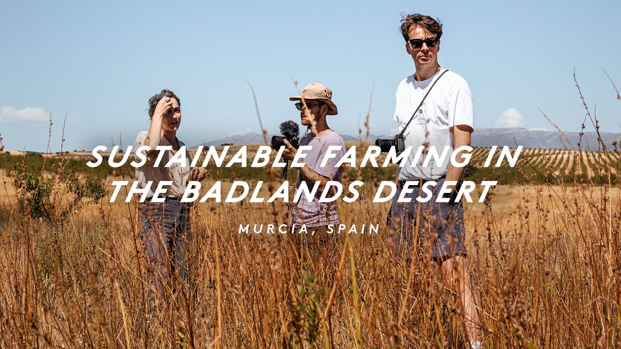 LEARNING ABOUT THE BADLANDS ENVIRONMENT AT LA JUNQUERA FARM