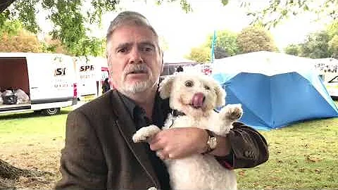 Steve O'Connell welcoming today's news on animal s...