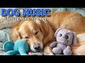 20 Hours of Calming Dog Music🦮💖Peaceful Music for Sleepy Dogs🎵🦮Quiet Time Comforting Sounds, Dog TV
