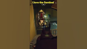 I love the Sentinel 💥🔫❤️