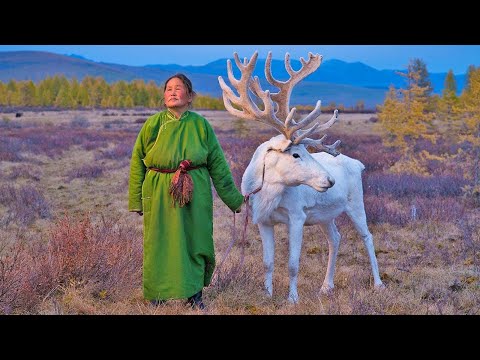 Ямал летом. Чумы коренных ненцев. Отдых на Карском море. Исчезающий ледник | Факты