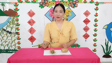 Tìm hiểu củ cà rốt - củ khoai tây _ MN Phú Hòa