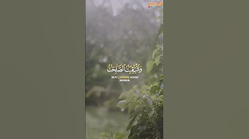 القارئ أحمد العجمي﴿المالُ وَالبَنونَ زينَةُ الحَياةِ الدُّنيا )