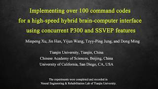 Implementing over 100 command codes for a high-speed hybrid BCI using concurrent P300 and SSVEP