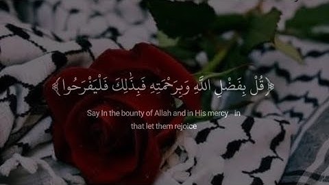 {قل بفضل الله وبرحمته فبذلك فليفرحوا هو خير مما يحمعون} القارئ عبدالرحمن مسعد قران كريم 🌿
