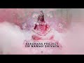 Karahana project  the antidote