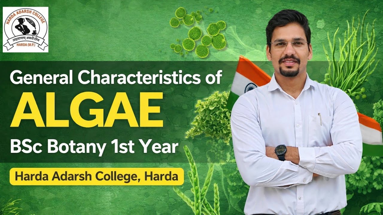 General characteristics of Algae 