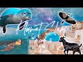 Chilling In Greece Relaxing Sleep Story Soothing Music &amp; Nature Sounds- Planet Sleep Podcast #16