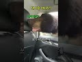 쟤 사람 아니지?