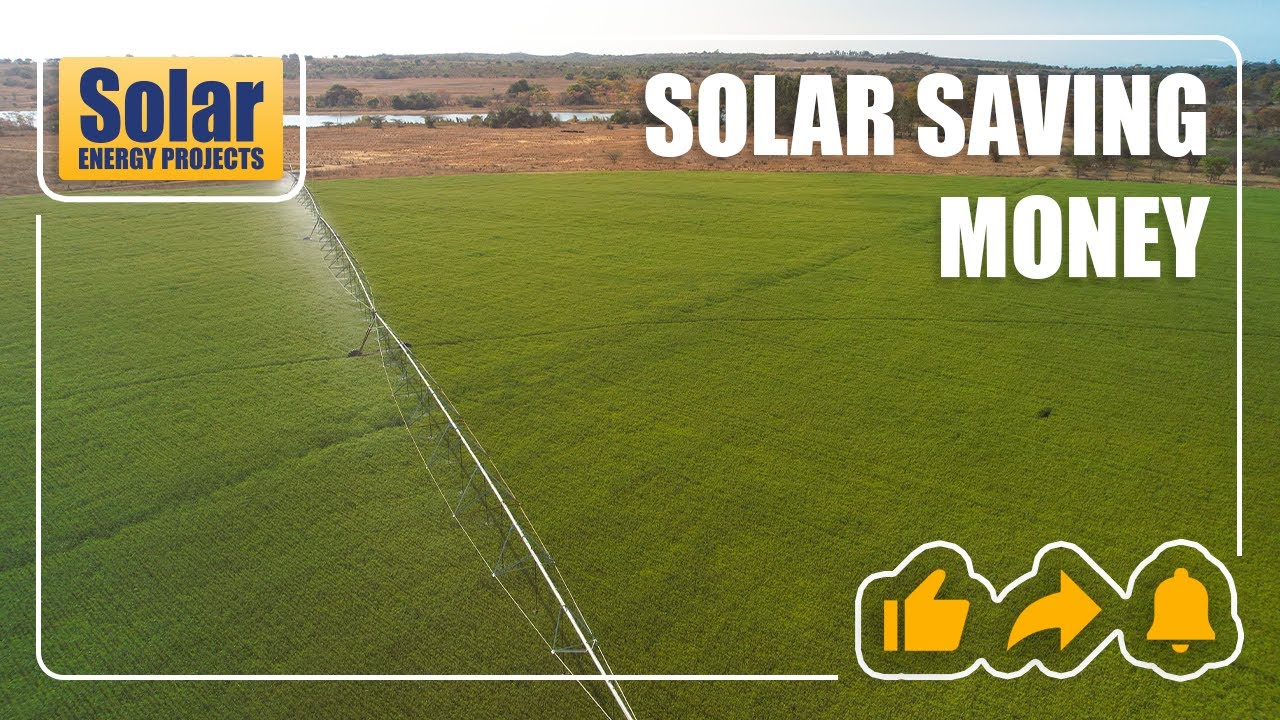 🇿🇼 An incredible solar system running everything on this farm!