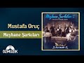 Meyhane Şarkıları 2 - Analog Plak Kaydı - Mustafa Oruç (Offical Video)