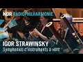 Capture de la vidéo Strawinsky: "Symphonies D'instruments À Vent" Mit Andrew Manze | Ndr Radiophilharmonie