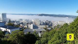 Wellington Fog Jun 2020 (عاصمة الضباب النيوزيلندي (يوم نادر