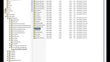 CSIS-3020 Web Programming and Design - Introduction to Server-Side Scripting