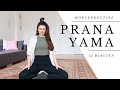 Pranayama für mehr Ausgeglichenheit | Kapalabhati & Nadi Shodana | 15 Min Yoga Atemübungen
