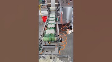Square spring roll machine