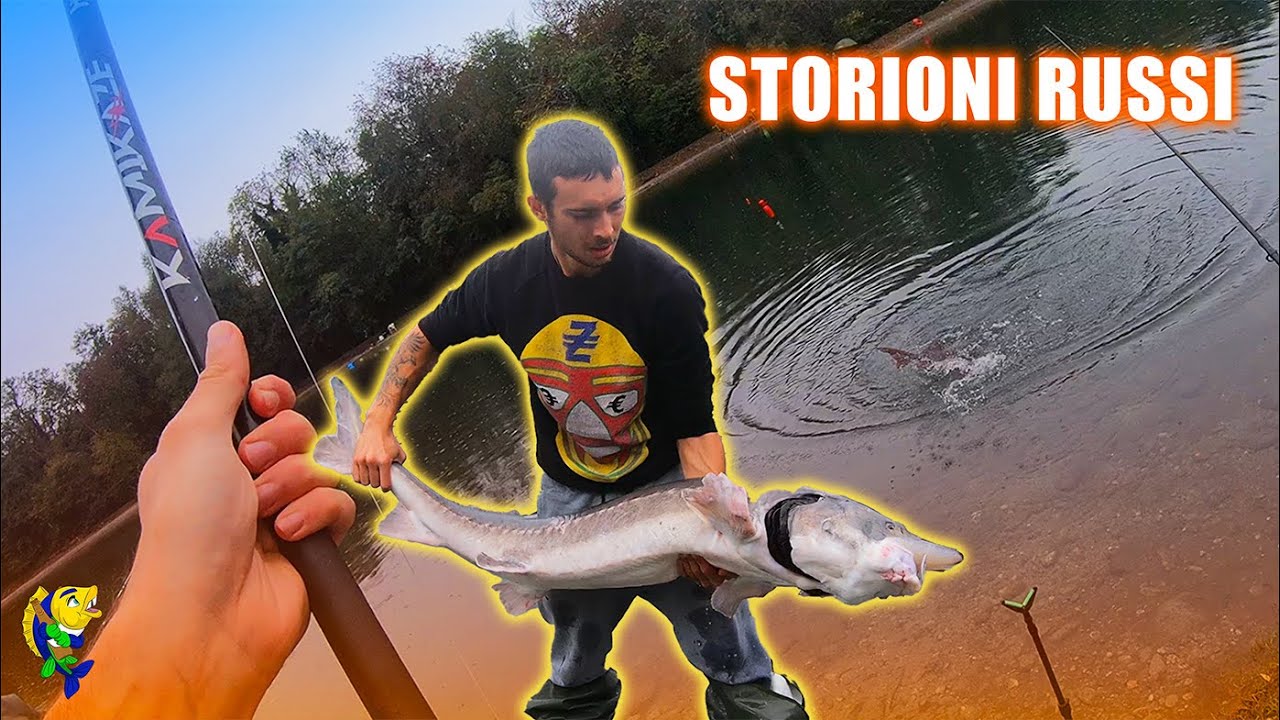 COME PESCARE gli STORIONI al NUOVO LAGO DEI GABBIANI!Consigli ed ESCHE per i BIG RUSSI!