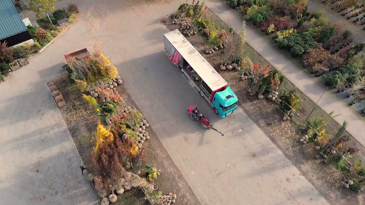 Den Mulder Boomteelt