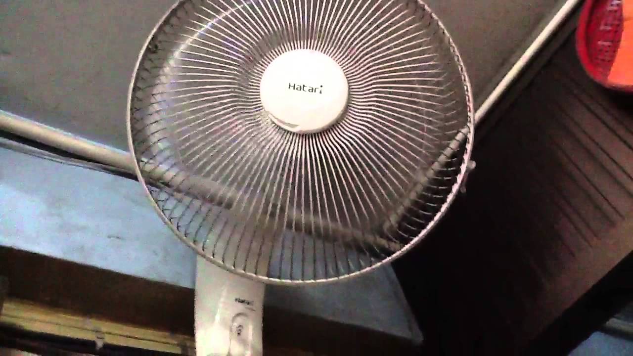 Hatari wall fan YouTube