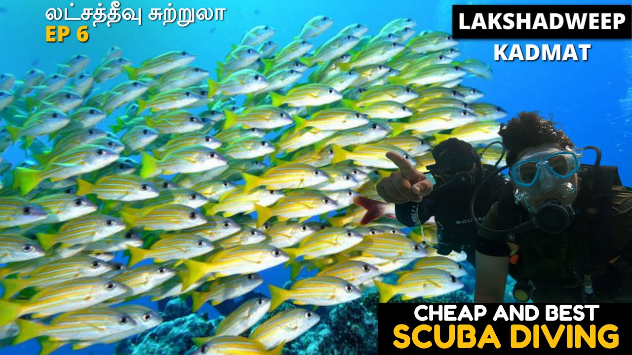 Maldives in INDIA Kadmat island Scuba diving Lakshadweep water