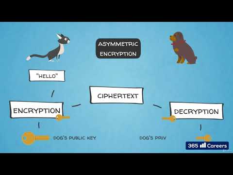 Cryptography   the technique used to secure Bitcoin #17