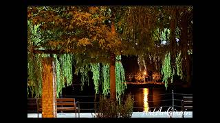 “ Lights And Night 2” By ArtAvGirgin 🖼️🍂