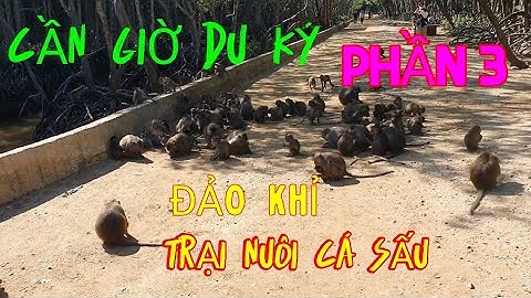 Tập 6: CẦn Giờ: Đảo Khỉ và trại nuôi cá sấu