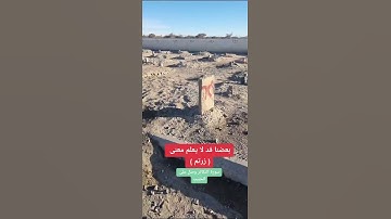 بعضنا قد لا يعلم معنى ( زرتم ) في سورة التكاثر اسمتع بالاية