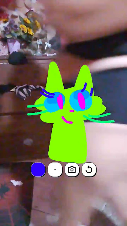 gato mily