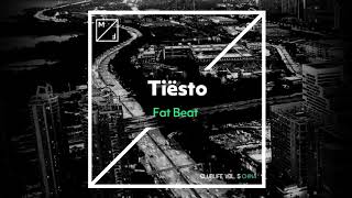 Tiësto - Fat Beat (David Puentez Remix)