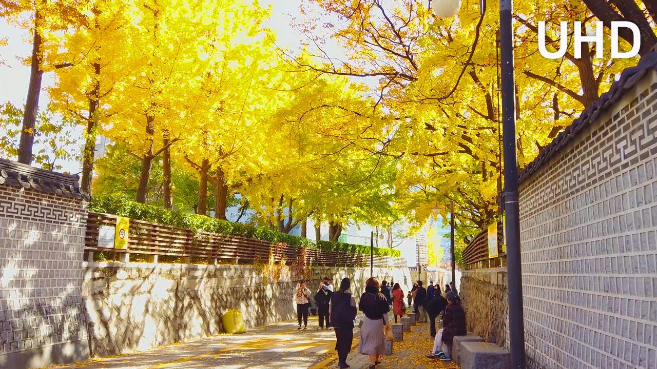 [4K] Walk along the narrow but cute alleyway of Jongno, Seoul on a ...