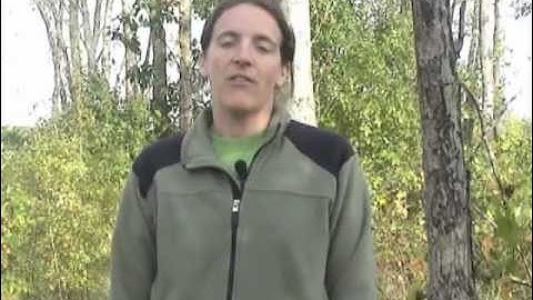 Forest Monitoring 1 - Intro (trimmed no names)