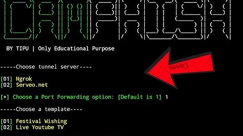 CamPhish Hacking Tool (EDUCATIONAL PURPOSES ONLY)