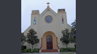 Love One Another (Version 31)