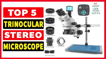 Top 5 Best Trinocular Stereo Microscope In 2023-2024